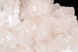 Bladed, Pink Manganoan Calcite Crystal Cluster - China #193400-1